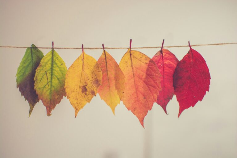 The Four Seasons by Antonio Vivaldi